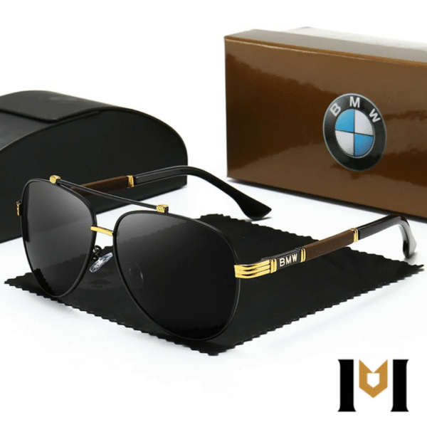 Óculos de Sol BMW X6